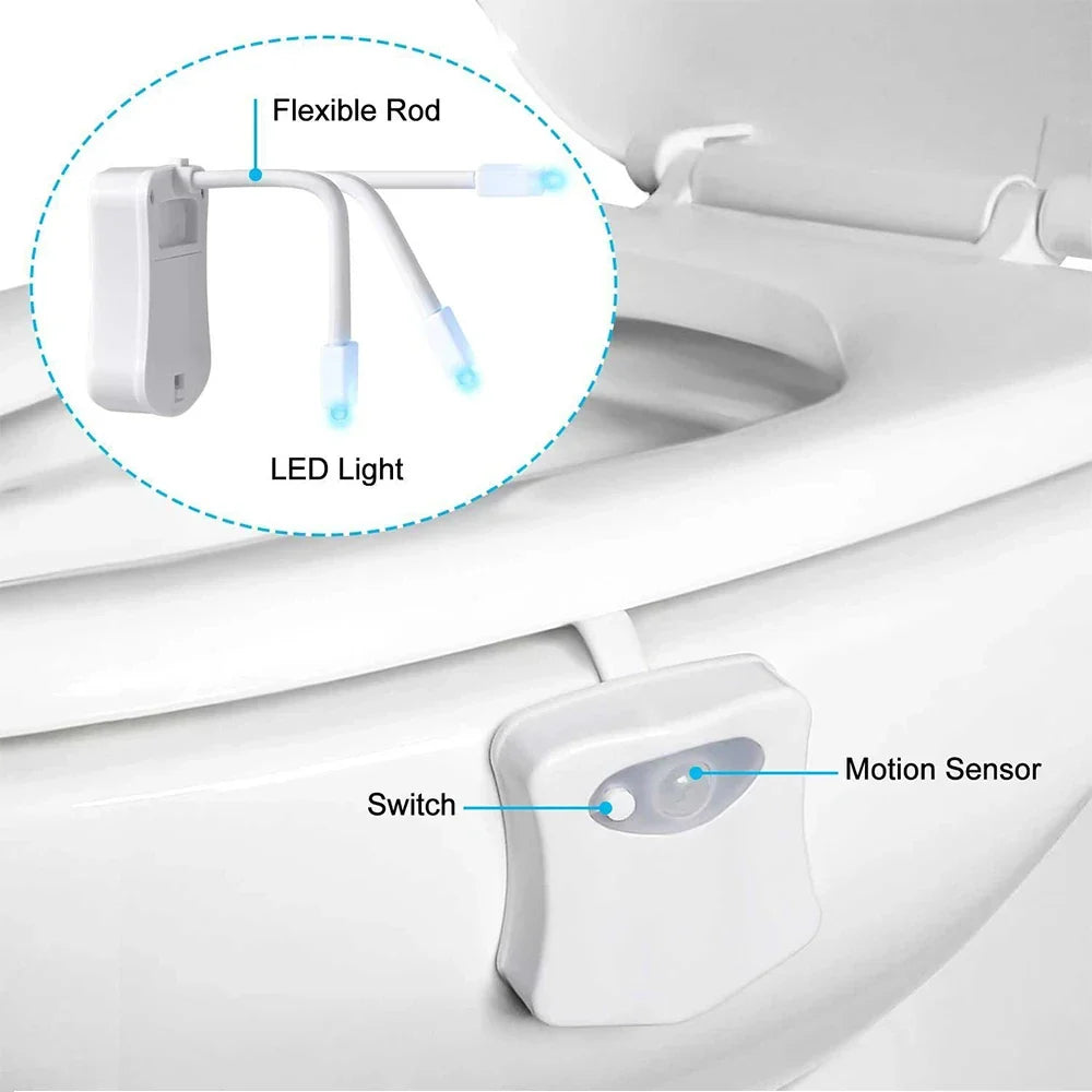 Motion Sensor LED Night Light