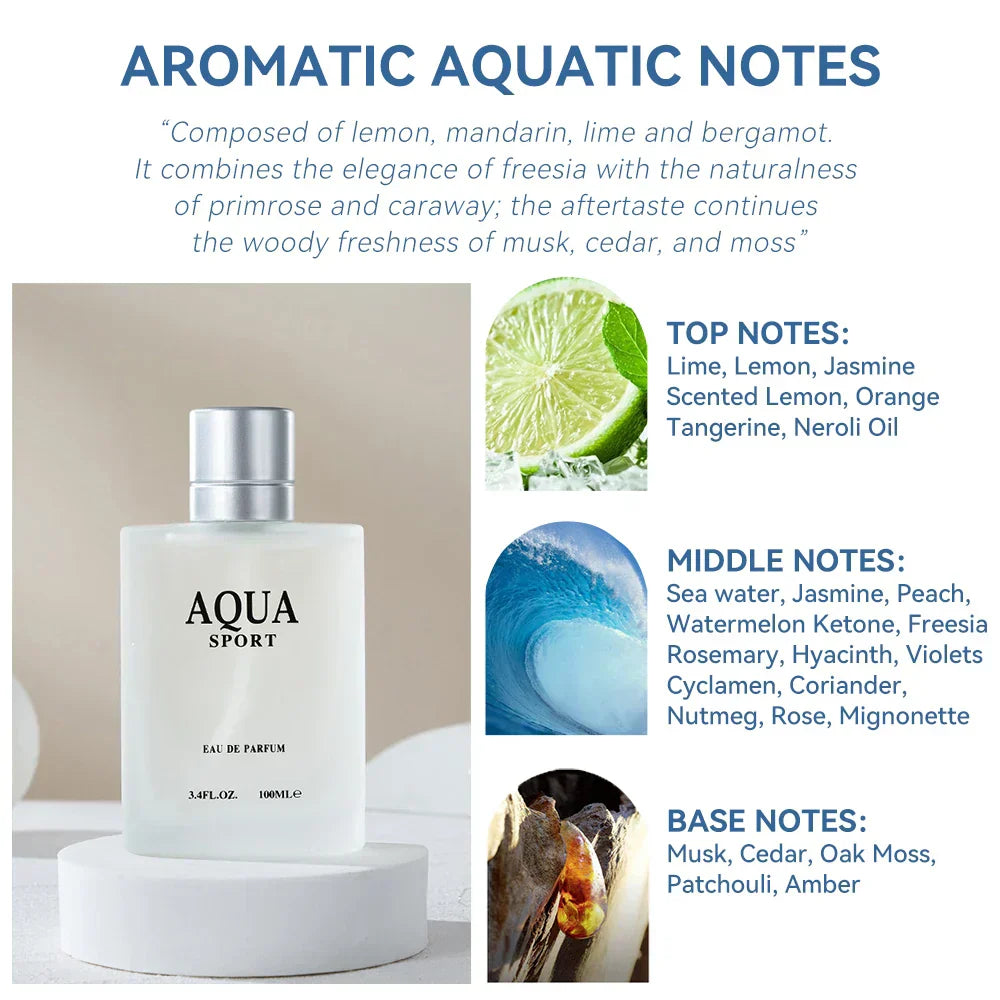 100ML AQUA Men's Perfume