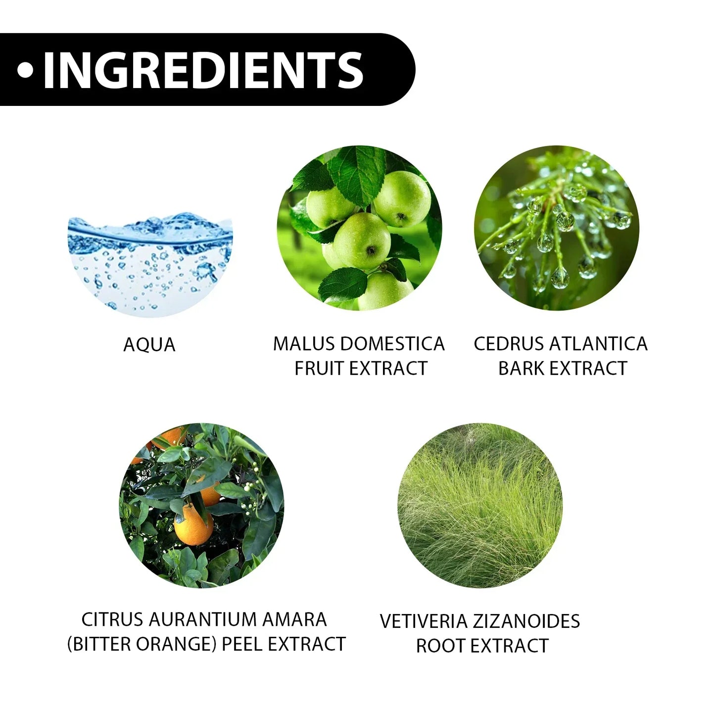 Men's Fresh & Elegant Eau De Perfume