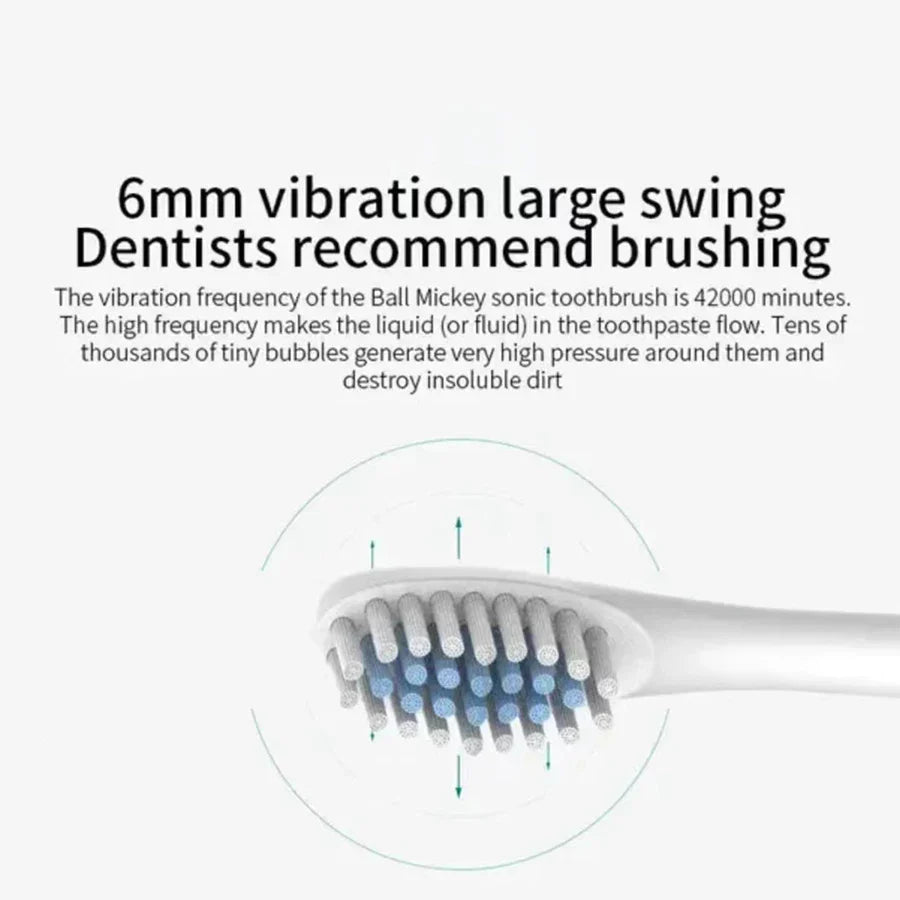 Electric Ultrasonic Toothbrush Set