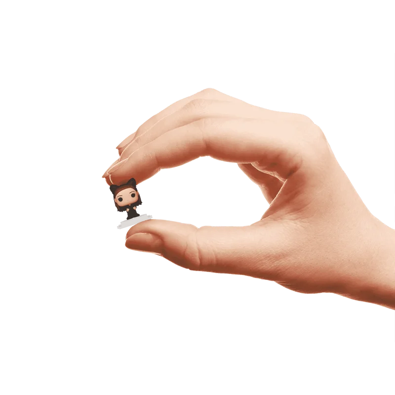 Funko Pop Friends Blind Box