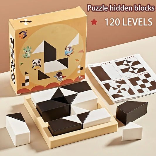 Hidden Block Puzzle Toy 120