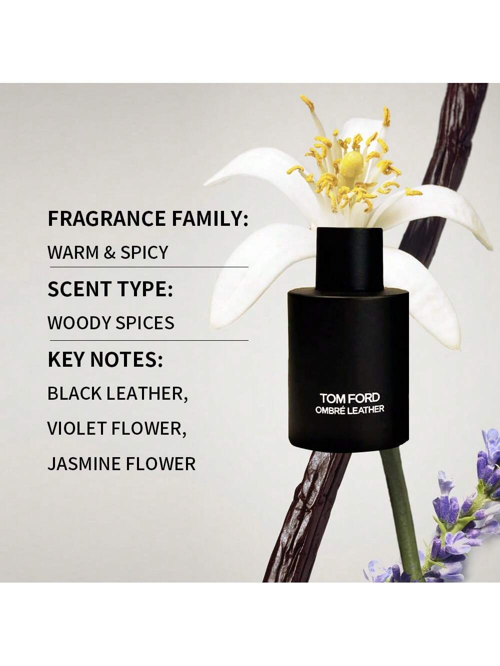 Tom Ford Ombre Leather Men